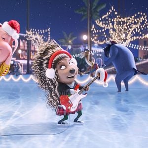 Foto Sing - Quem Canta Seus Males Espanta