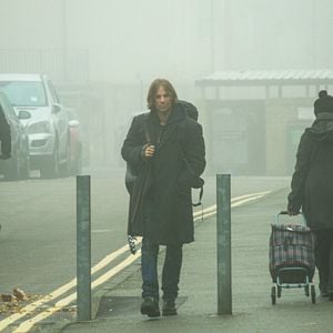 Foto Um Gato de Rua Chamado Bob