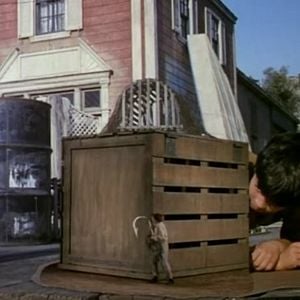 Foto Terra de Gigantes