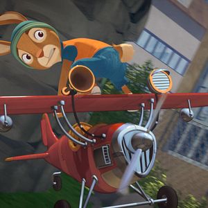 Foto Escolha de coelhos