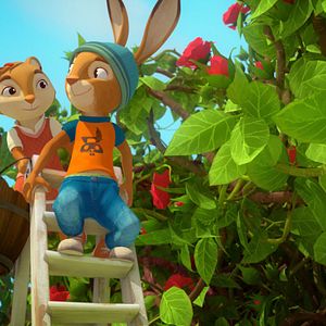 Foto Escolha de coelhos