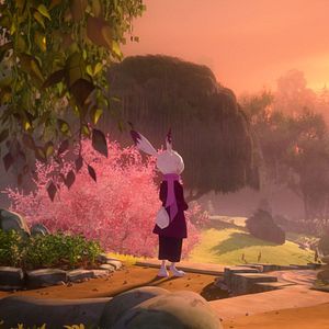 Foto Escolha de coelhos