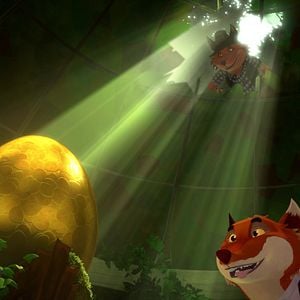 Foto Escolha de coelhos