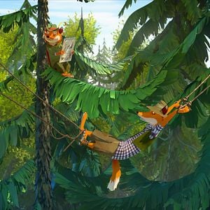 Foto Escolha de coelhos