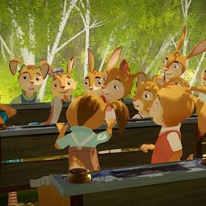 Foto Escolha de coelhos