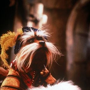 Foto Labirinto - A Magia do Tempo