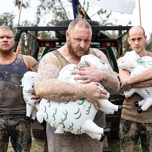 Foto Reviravoltas Da Vida