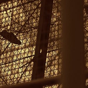 Foto Frágil equilibrio