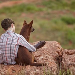 Foto Red Dog: True Blue