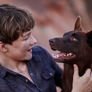 Foto Red Dog: True Blue