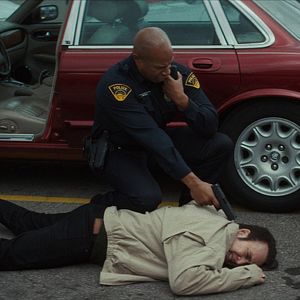 Foto Cães Selvagens