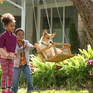 Foto Quatro Vidas de um Cachorro