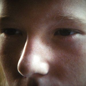 Foto The Illinois Parables