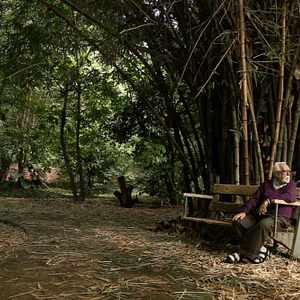 Foto Diários Guaranis