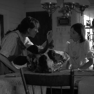 Foto Os Olhos da Minha Mãe