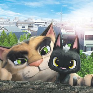 Foto Rudolph, o Gatinho Preto