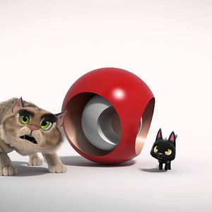 Foto Rudolph, o Gatinho Preto