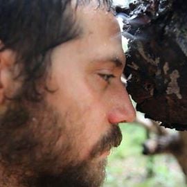 Foto Lamparina da Aurora