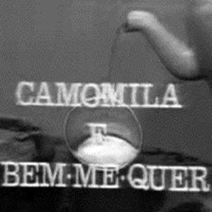 Foto Camomila e Bem-Me-Quer