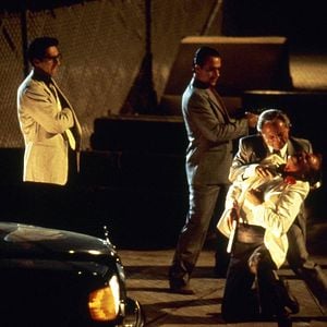 Foto Atraída pelo Perigo