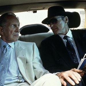 Foto Atraída pelo Perigo