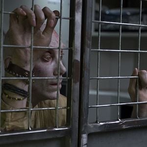 Foto Stephen Merchant