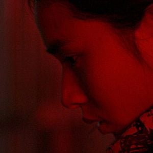 Foto The Foolish Bird