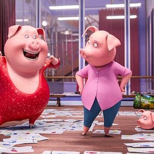 Foto Sing - Quem Canta Seus Males Espanta