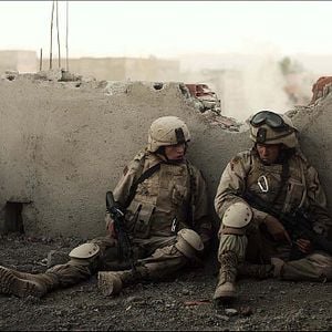 Foto Pássaros Amarelos