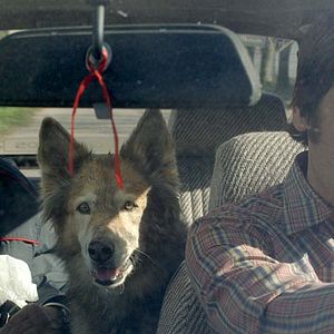 Foto Rodrigo de la Serna