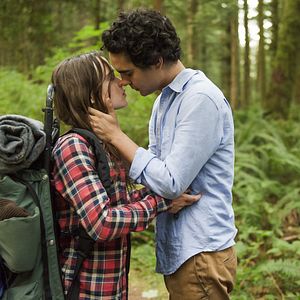 Foto Into the Forest