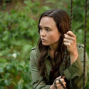 Foto Into the Forest