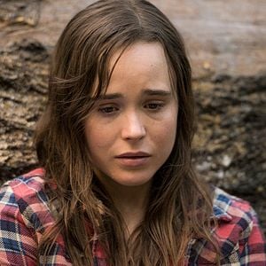 Foto Into the Forest