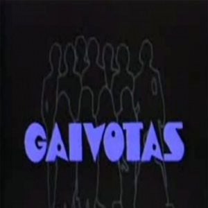 Foto Gaivotas