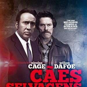 Foto Cães Selvagens