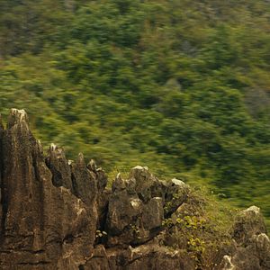 Foto Kong: A Ilha da Caveira