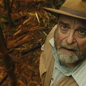 Foto Kong: A Ilha da Caveira