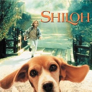 Foto Shiloh - O Melhor Amigo