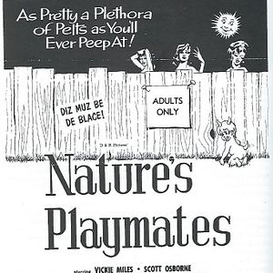 Foto Nature's Playmates