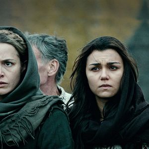 Foto Colheita Amarga