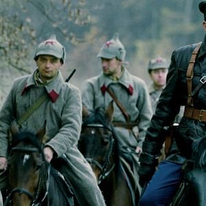 Foto Colheita Amarga