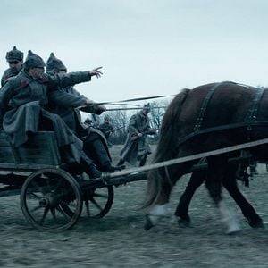 Foto Colheita Amarga