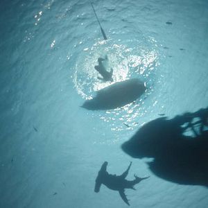 Foto Piratas do Caribe: A Vingança de Salazar