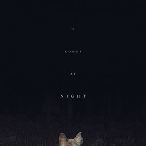 Foto Ao Cair da Noite