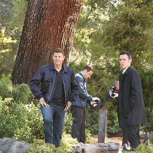 Foto David Boreanaz