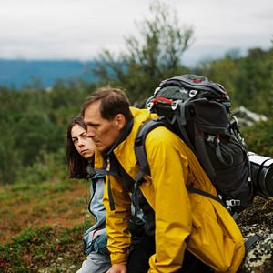 Foto Noites Brilhantes
