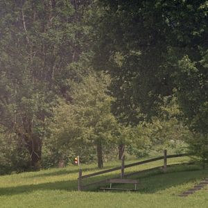 Foto Daniel Hope - O Som da Vida