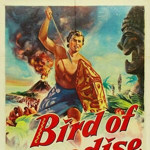 Foto Ave do Paraíso