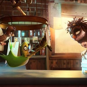 Foto Missão Cegonha