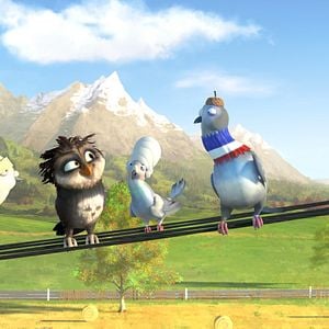 Foto Missão Cegonha